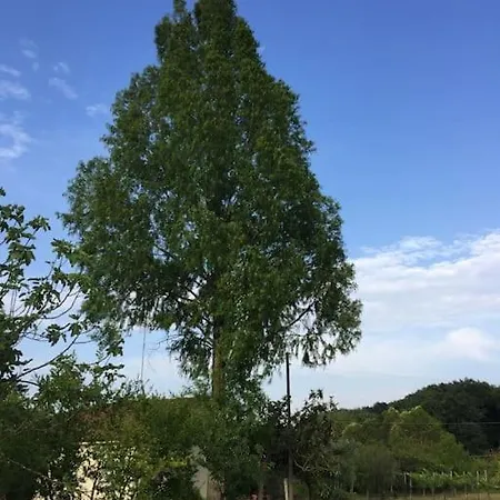 Appartement La Sequoia Orte