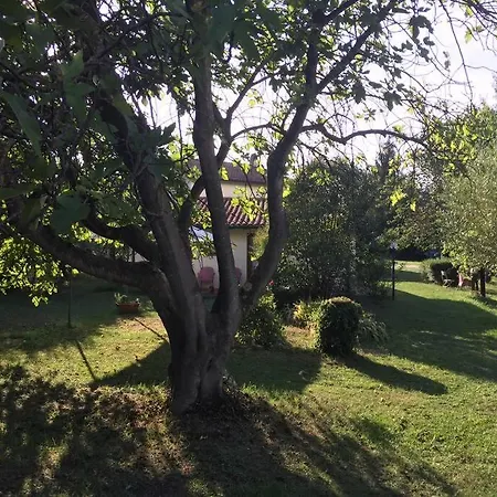 La Sequoia Appartement Orte